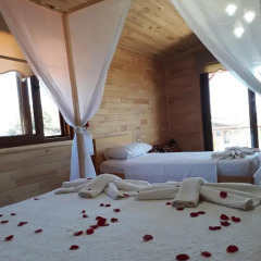 Отель Cirali Flora Pension 3* Стандартный семейный номер с двуспальной кроватью фото 2