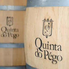 Hotel Rural Quinta Do Pego Табуасу интерьер отеля