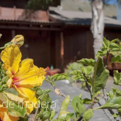 Отель El Rincón del Huroncillo фото 7