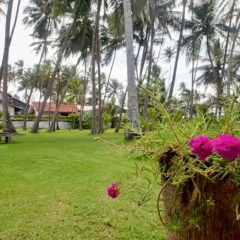 Отель Chitra Ayurveda Hotel Шри-Ланка, Бентота - отзывы, цены и фото номеров - забронировать отель Chitra Ayurveda Hotel онлайн фото 15