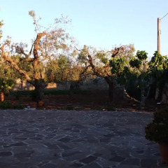 Отель La Pajara Гальяно дель Капо парковка