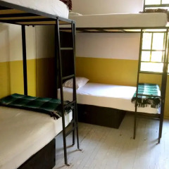 Отель Stayinn Barefoot Condesa Кровать в общем номере