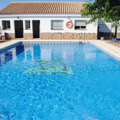 Отель Apartamentos El Palmeral Испания, Кониль-де-ла-Фронтера - отзывы, цены и фото номеров - забронировать отель Apartamentos El Palmeral онлайн бассейн
