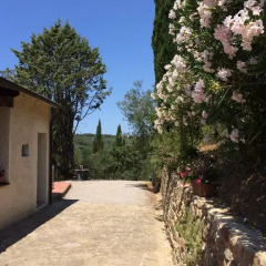 Отель Agriturismo Le Catre Кастаньето-Кардуччи фото 11