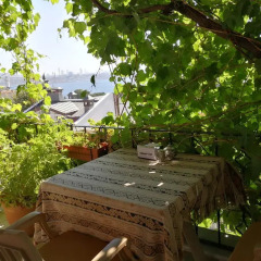 Marmara Guesthouse Турция, Стамбул - отзывы, цены и фото номеров - забронировать отель Marmara Guesthouse онлайн
