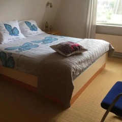Отель Bed and Breakfast Ineke en John Нидерланды, Хофддорп - отзывы, цены и фото номеров - забронировать отель Bed and Breakfast Ineke en John онлайн комната для гостей фото 3