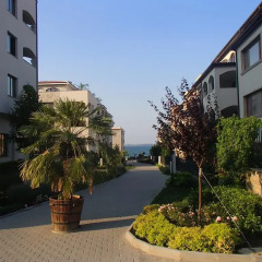 Отель Aqua Dreams Studio Apartment Болгария, Свети Влас - отзывы, цены и фото номеров - забронировать отель Aqua Dreams Studio Apartment онлайн фото 3