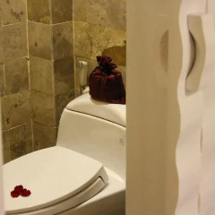 Orchid Hotel 3* Улучшенный номер с различными типами кроватей фото 5