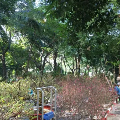 Отель Istay Inn Saigon фото 3