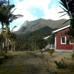 Отель Cottage HANA MANA Япония, Якусима - отзывы, цены и фото номеров - забронировать отель Cottage HANA MANA онлайн фото 9