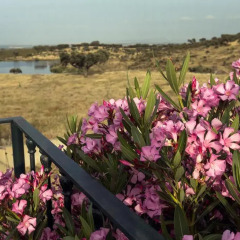 Naveterra-Hotel Rural балкон