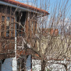 Ephesus Paradise Турция, Сельчук - отзывы, цены и фото номеров - забронировать отель Ephesus Paradise онлайн ванная фото 2