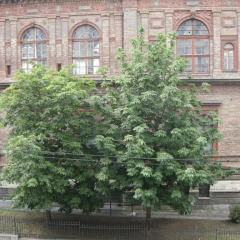 Отель Pension Schottentor 3* Стандартный номер фото 4