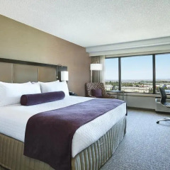 Отель Crowne Plaza San Jose-Silicon Valley 3* Стандартный номер с различными типами кроватей фото 3