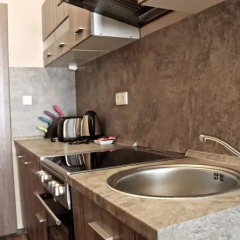 Отель Moravia Boutique Apartments Чехия, Карловы Вары - отзывы, цены и фото номеров - забронировать отель Moravia Boutique Apartments онлайн в номере фото 2