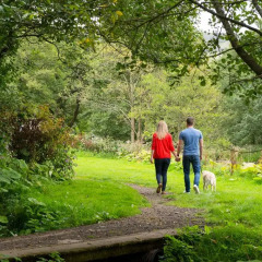 Отель Campsie Glen Holiday Park Великобритания, Глазго - отзывы, цены и фото номеров - забронировать отель Campsie Glen Holiday Park онлайн приотельная территория