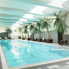 Отель London Marriott Hotel County Hall Великобритания, Лондон - 1 отзыв об отеле, цены и фото номеров - забронировать отель London Marriott Hotel County Hall онлайн бассейн