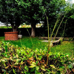 Отель Casa Davide