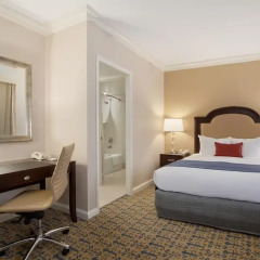 Отель The Capital Hilton 4* Стандартный номер с 2 отдельными кроватями фото 4