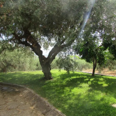 Отель La Valle degli Ulivi Кастровиллари фото 5