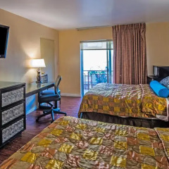 Отель Hollywood Downtowner 3* Номер Делюкс фото 4