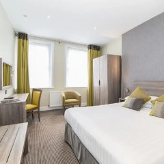 Phoenix Hotel 3* Номер Делюкс с различными типами кроватей