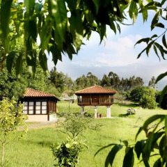 Отель Apartamentos Turísticos Finca Las Nieves фото 6