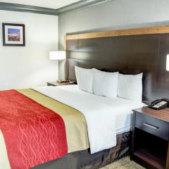 Отель Comfort Inn And Suites Near Universal Studios 2* Стандартный номер фото 3