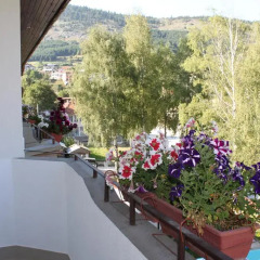 Отель Yagodina Family Hotel Болгария, Чепеларе - отзывы, цены и фото номеров - забронировать отель Yagodina Family Hotel онлайн балкон