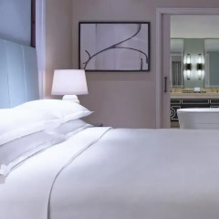 Sheraton Grand Macao Hotel, Cotai Central 4* Номер Делюкс с разными типами кроватей фото 2