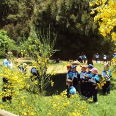 Отель Campamento Quimpi Испания, Ла-Матанса-де-Асентехо - отзывы, цены и фото номеров - забронировать отель Campamento Quimpi онлайн приотельная территория фото 2