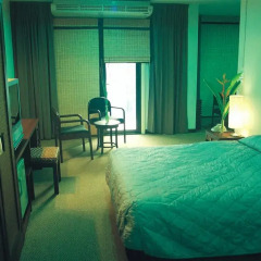 Отель The Pavilion Place 3* Номер Делюкс с различными типами кроватей фото 7