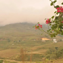 Отель Tavan Ecologic Homestay фото 3