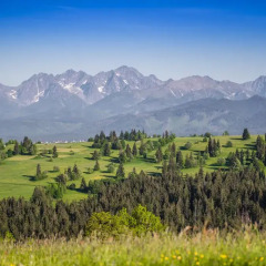 Отель Pensjonat Góralska Chata Закопане фото 2