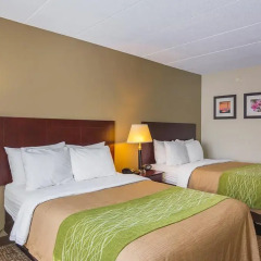 Отель Comfort Inn Washington Dulles International комната для гостей фото 2