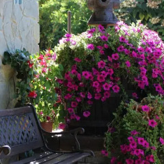 Отель Agriturismo Nonno Tobia Аджерола фото 9