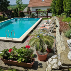 Отель Guest house Magyar Route 66 Венгрия, Силвашварад - отзывы, цены и фото номеров - забронировать отель Guest house Magyar Route 66 онлайн бассейн фото 2