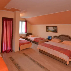 Отель Guest House Vila Bor Нови Сад комната для гостей фото 5