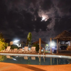 Отель Moon House Bungalows Таиланд, Пхукет - отзывы, цены и фото номеров - забронировать отель Moon House Bungalows онлайн бассейн