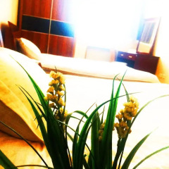 Sky Hostel Кровать в мужском общем номере фото 6