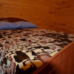 Гостиница Holiday Park Krivtsovo Номер Эконом с разными типами кроватей фото 5