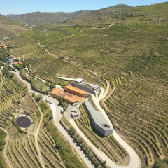 Отель Quinta do Vallado Португалия, Пезу-да-Регуа - отзывы, цены и фото номеров - забронировать отель Quinta do Vallado онлайн фото 11