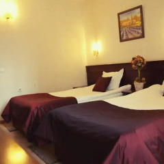 Hotel Aris 3* Стандартный номер с различными типами кроватей фото 7