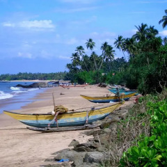 Отель White Villa Ambalangoda пляж