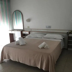 Hotel Ceccarini 9 3* Стандартный номер с двуспальной кроватью фото 8