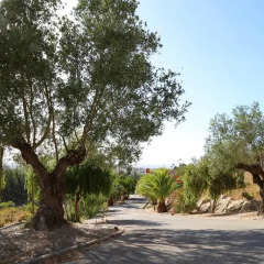 Отель Quinta do Medronhal