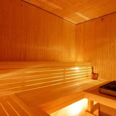 Отель Örnvik Hotell & Konferens сауна