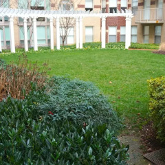 Отель Heaven on Washington Furnished Apartments США, Вашингтон - отзывы, цены и фото номеров - забронировать отель Heaven on Washington Furnished Apartments онлайн