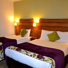 Maldron Hotel, Oranmore Galway 4* Стандартный номер с различными типами кроватей