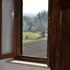 Отель Agriturismo La Colombaia 3* Стандартный номер фото 22